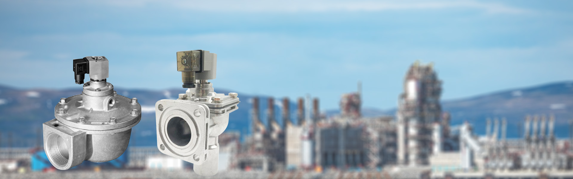 Goyen Pulse Valve