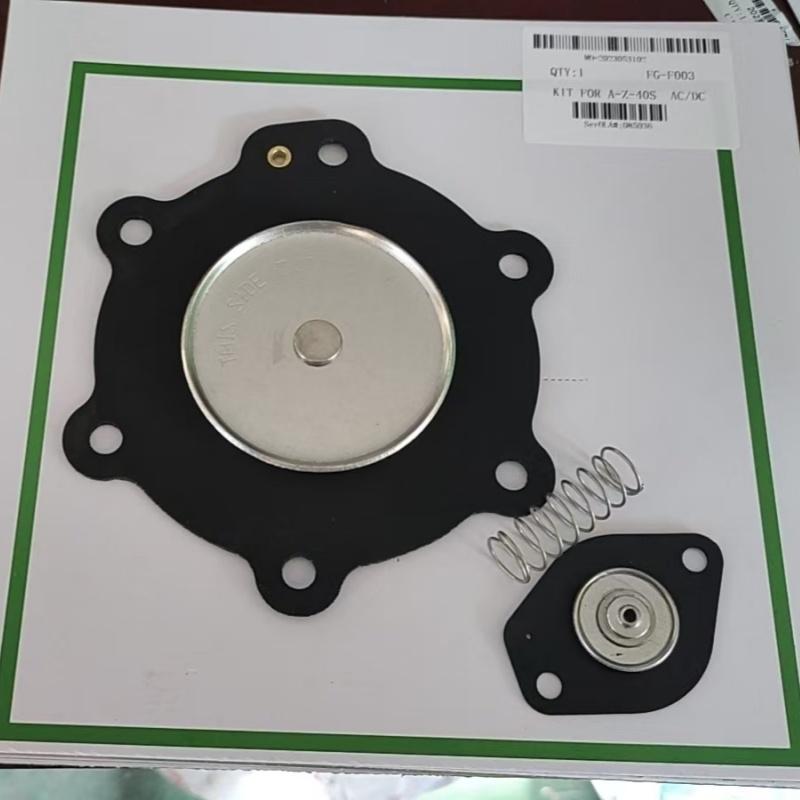 C113825 Diaphragm Kit